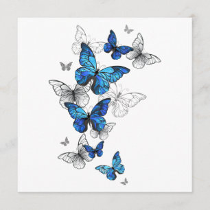 Blue Flying Butterflies Morpho Program