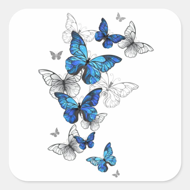 Blue Flying Butterflies Morpho Square Sticker (Front)