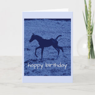 Blue foal Birthday Card