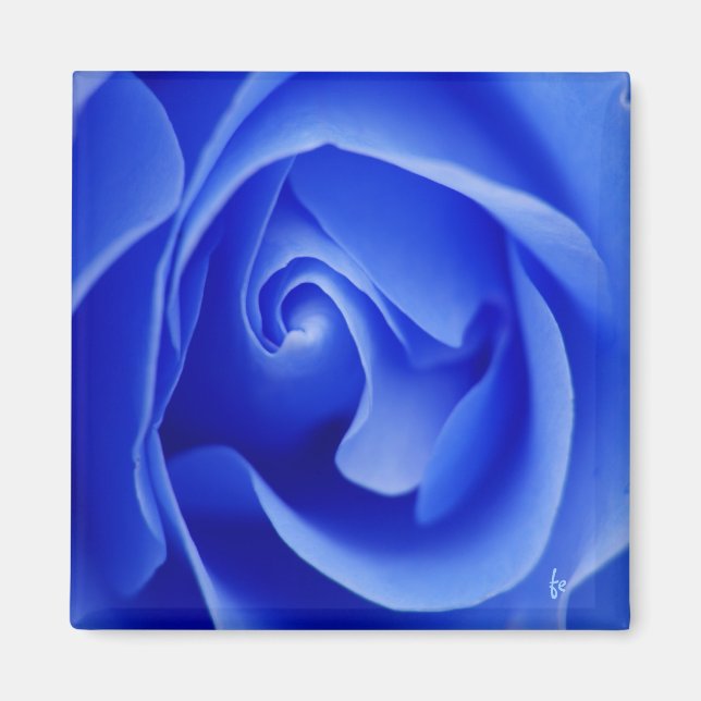 blue folds magnet (Front)