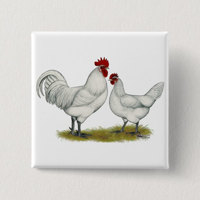 Blue Foot Chickens 2 Inch Square Button (Front)