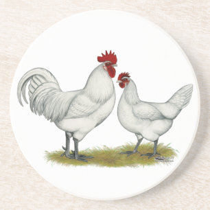 Blue Foot Chickens Coaster