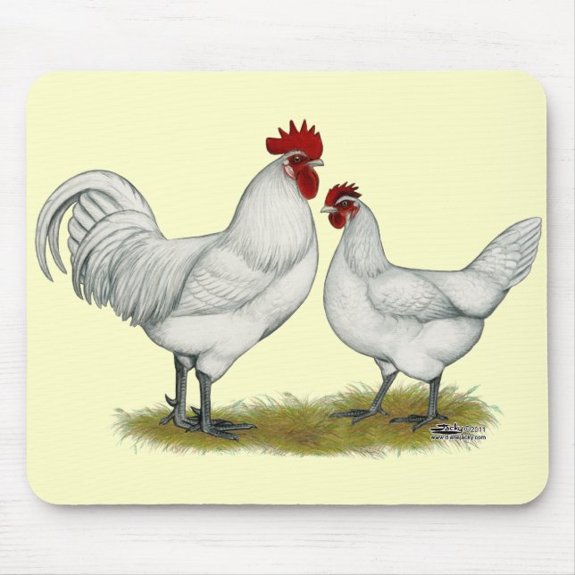 Blue Foot Chickens Mouse Pad (Front)