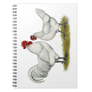 Blue Foot Chickens Notebook