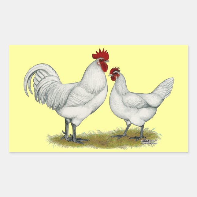 Blue Foot Chickens Sticker (Front)