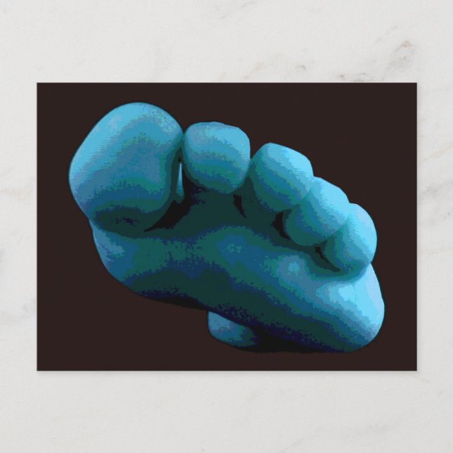 Blue Foot ... My 2005 Adobe Photoshop Art Postcard (Front)