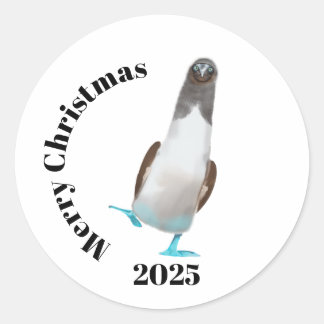 Blue-footed biddy classic round sticker