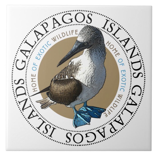 Blue Footed Bird Galapagos Islands Classic Round  Tile (Front)