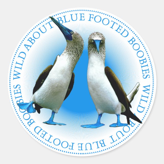 Blue Footed Boobies Classic Round Sticker (Front)