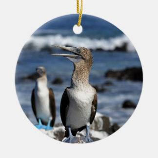 Blue footed Boobies Galapagos Islands Ceramic Ornament
