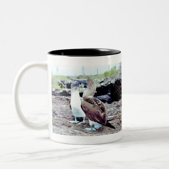 Blue Footed Boobies Native Galapagos Island Bird Two-Tone Coffee Mug (Left)