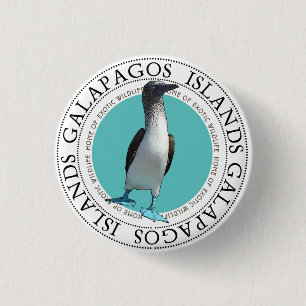Blue Footed Booby 1 Inch Round Button