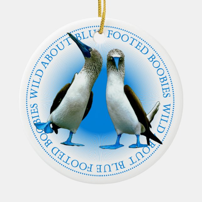 Blue Footed Booby Birds Galapagos Islands Souvenir Ceramic Ornament (Front)