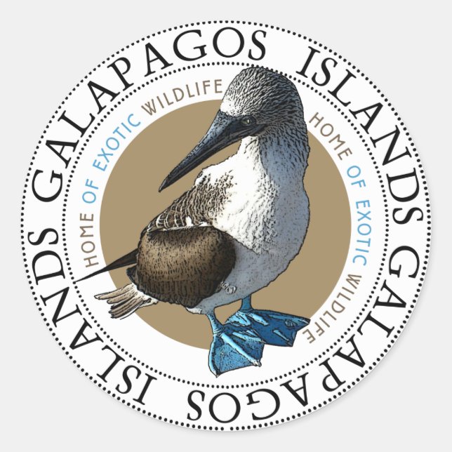 Blue Footed Booby Galapagos Islands Classic Round Sticker (Front)