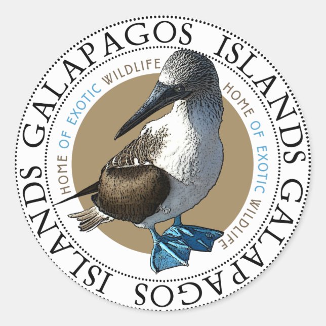 Blue Footed Booby Galapagos Islands Souvenir Classic Round Sticker (Front)