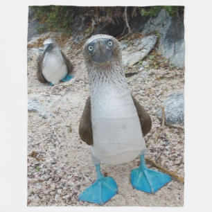 BLUE FOOTED BOOBY (Honest, that is it's name) Fleece Blanket