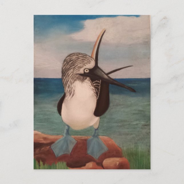 Blue Footed Booby Postcard (Front)