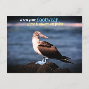Blue footed gannet  holiday postcard