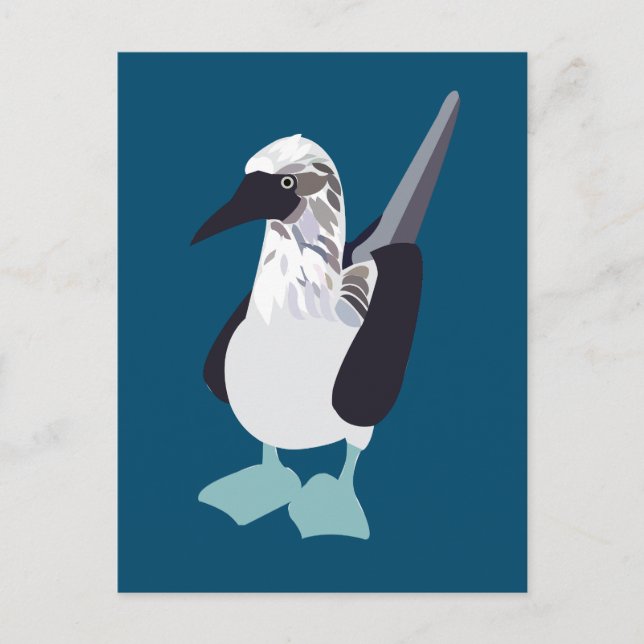 Blue-Footed Sea Bird Postcard (Front)