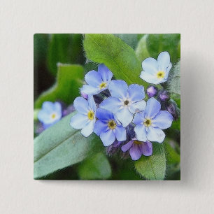 Blue Forget Me Not Flowers 2 Inch Square Button
