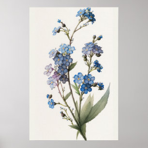 Blue Forget Me Nots Flower Art Print Poster