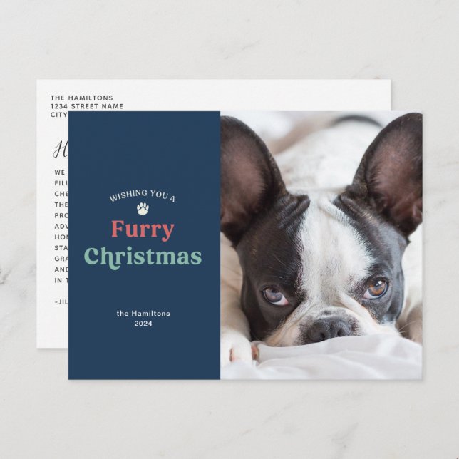 Blue Furry Christmas Pet Holiday Postcard (Front/Back)