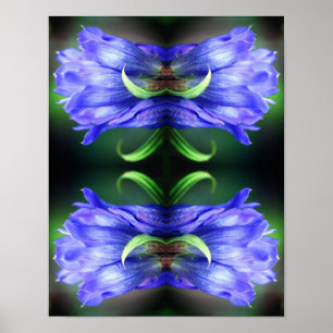 Blue Gentian Flower Abstract Art Poster