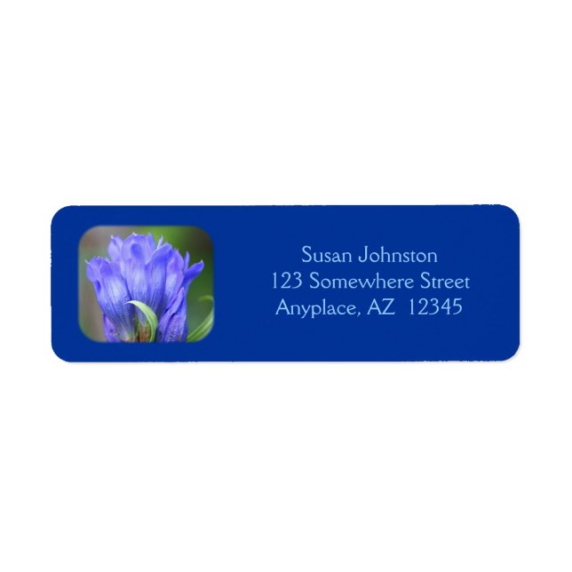Blue Gentian Flower Adresse (Devant)