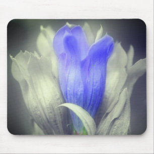 Blue Gentian Flower Black And White Mouse Pad
