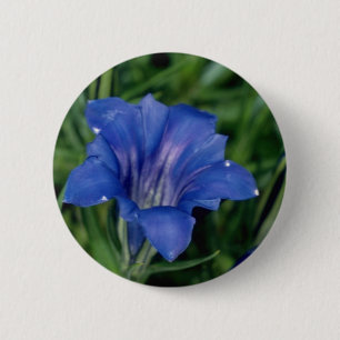 Blue Gentian flowers 2 Inch Round Button