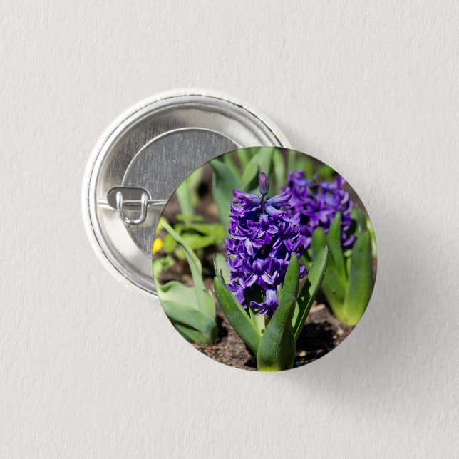 Blue Geocinth in spring   1 Inch Round Button (Front & Back)