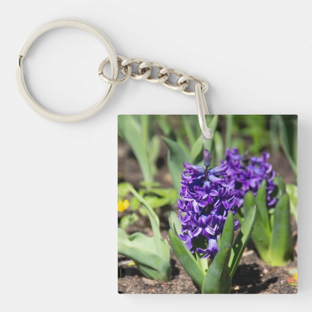 Blue Geocinth in spring   Keychain (Front)
