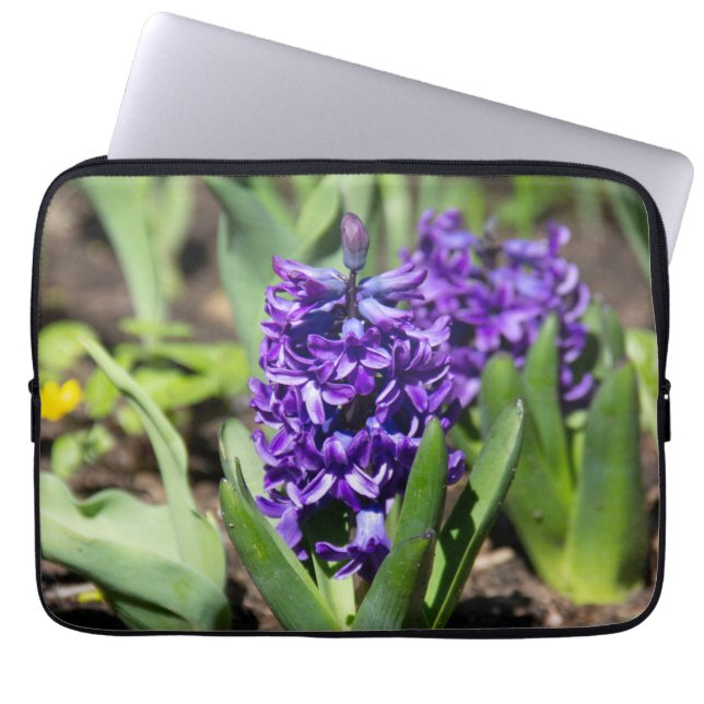 Blue Geocinth in spring   Laptop Sleeve (Front)