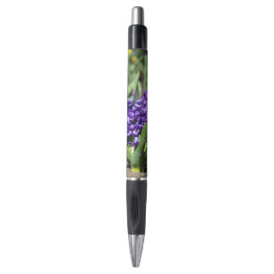 Blue Geocinth in spring   Pen