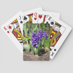 Blue Geocinth in spring Playing Cards