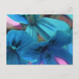 Blue Geraniums Postcard