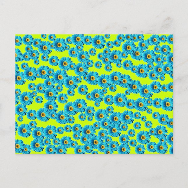 Blue Gerber Daisy Postcard (Front)