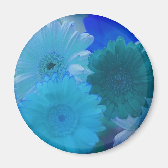 Blue Gerbera Daisy Flower Refrigerator Magnet (Front)