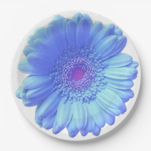 Blue gerbera daisy paper plate