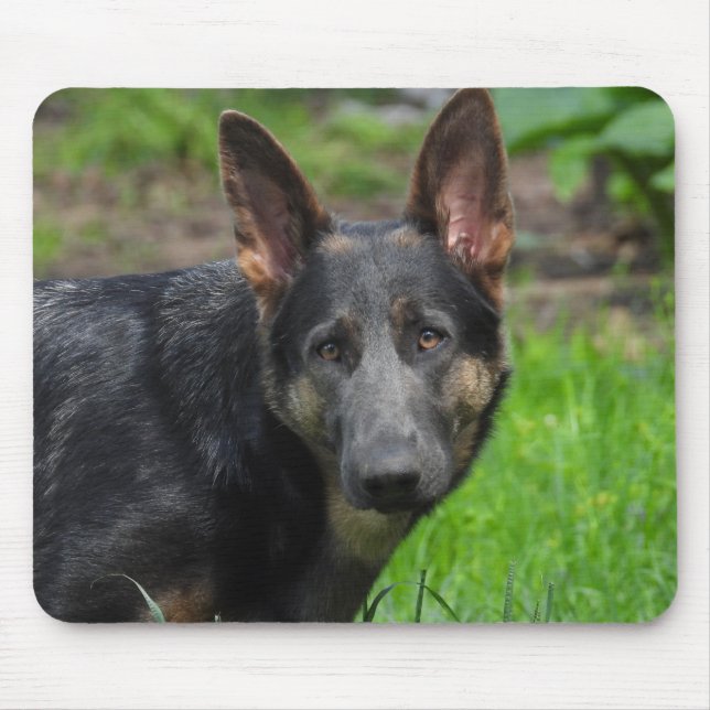 Blue German Shepherd Mouse Pad (Front)