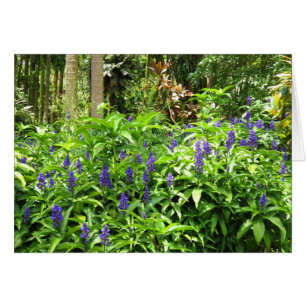 Blue Ginger