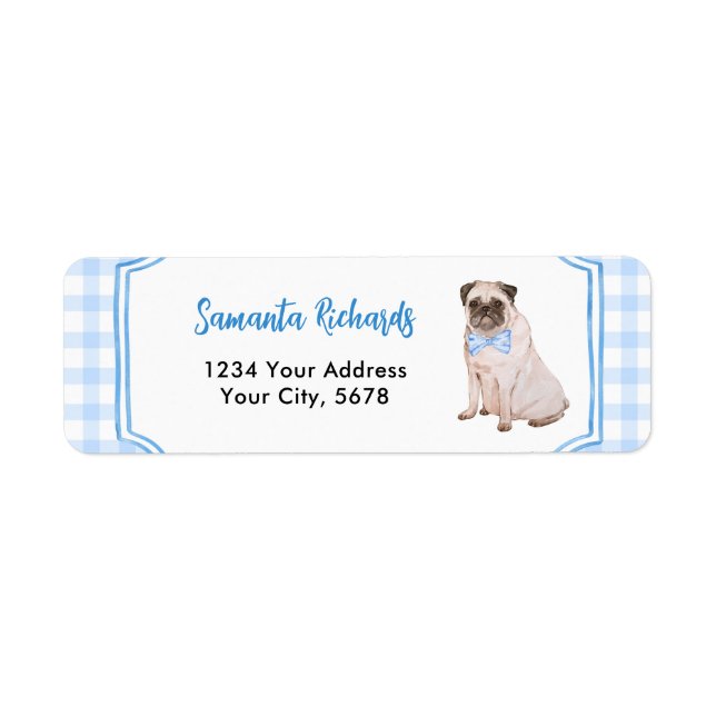 Blue Gingham Dog Boy Address (Front)