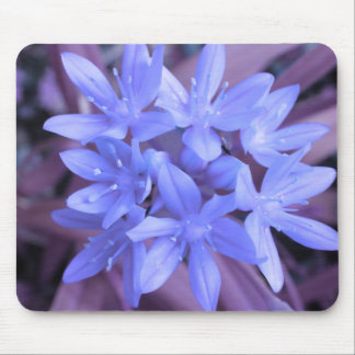 Blue Glory Of The Snow Mousepad