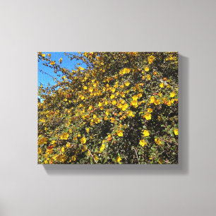 Blue & Gold Canvas Print