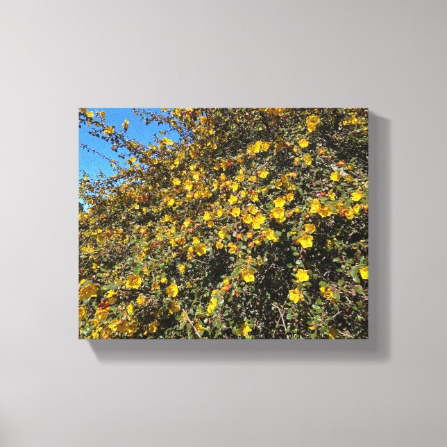 Blue & Gold Canvas Print (Front)