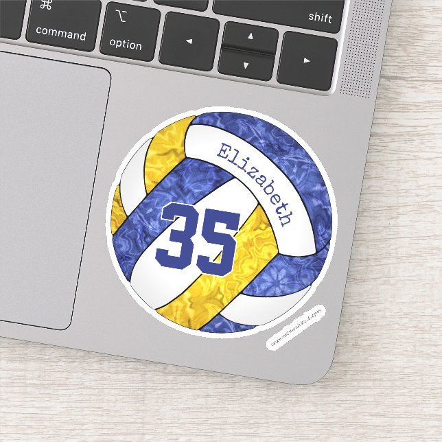 blue gold girls' volleyball school team colours (Detail)
