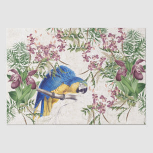Blue Gold Macaw Bird Orchid Flower Tissue Paper