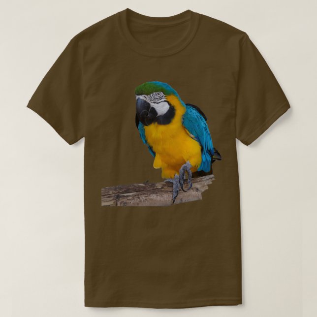 Blue Gold Parrot T-Shirt (Design Front)