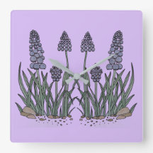 Blue Grape Hyacinth