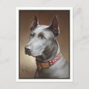 Blue Great Dane by Carl Reichert Postcard